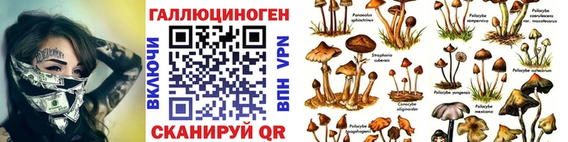 Галлюциногенные грибы Magic Shrooms  omg ссылки  Рыбное 